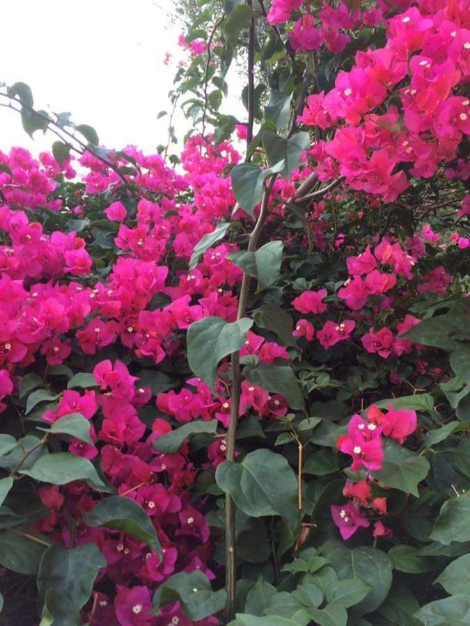 B & B Jasmine ซานตาเทเรซา ดี รีวา ภายนอก รูปภาพ
